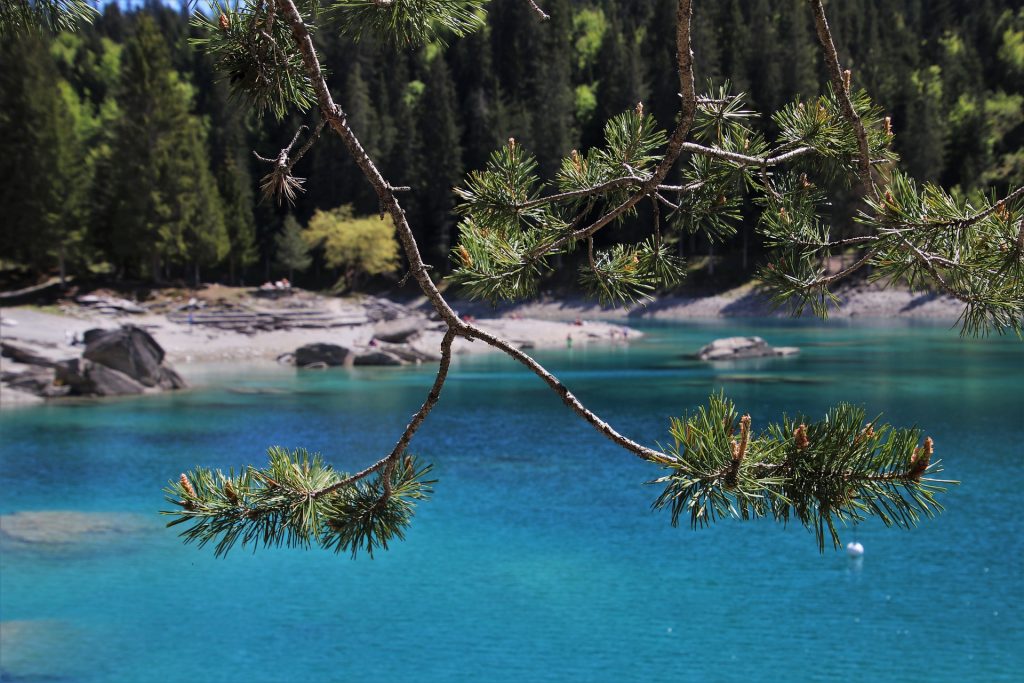 Bergsee Schweiz